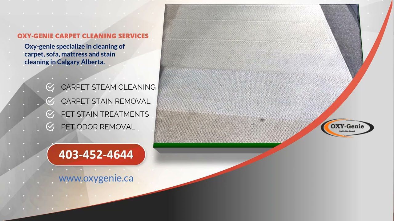 Stain Protection  Alberta Carpet Cleaning Calgary