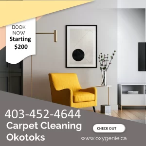 Professional Carpet Cleaning OKotoks