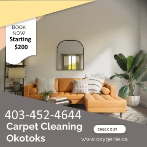 Okotoks Carpet Cleaning Services