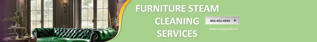 furniture steam cleaning