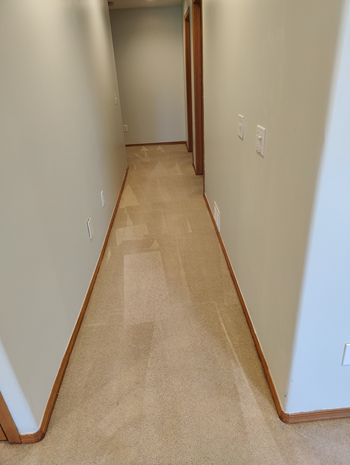 Chestermere carpet cleaning services