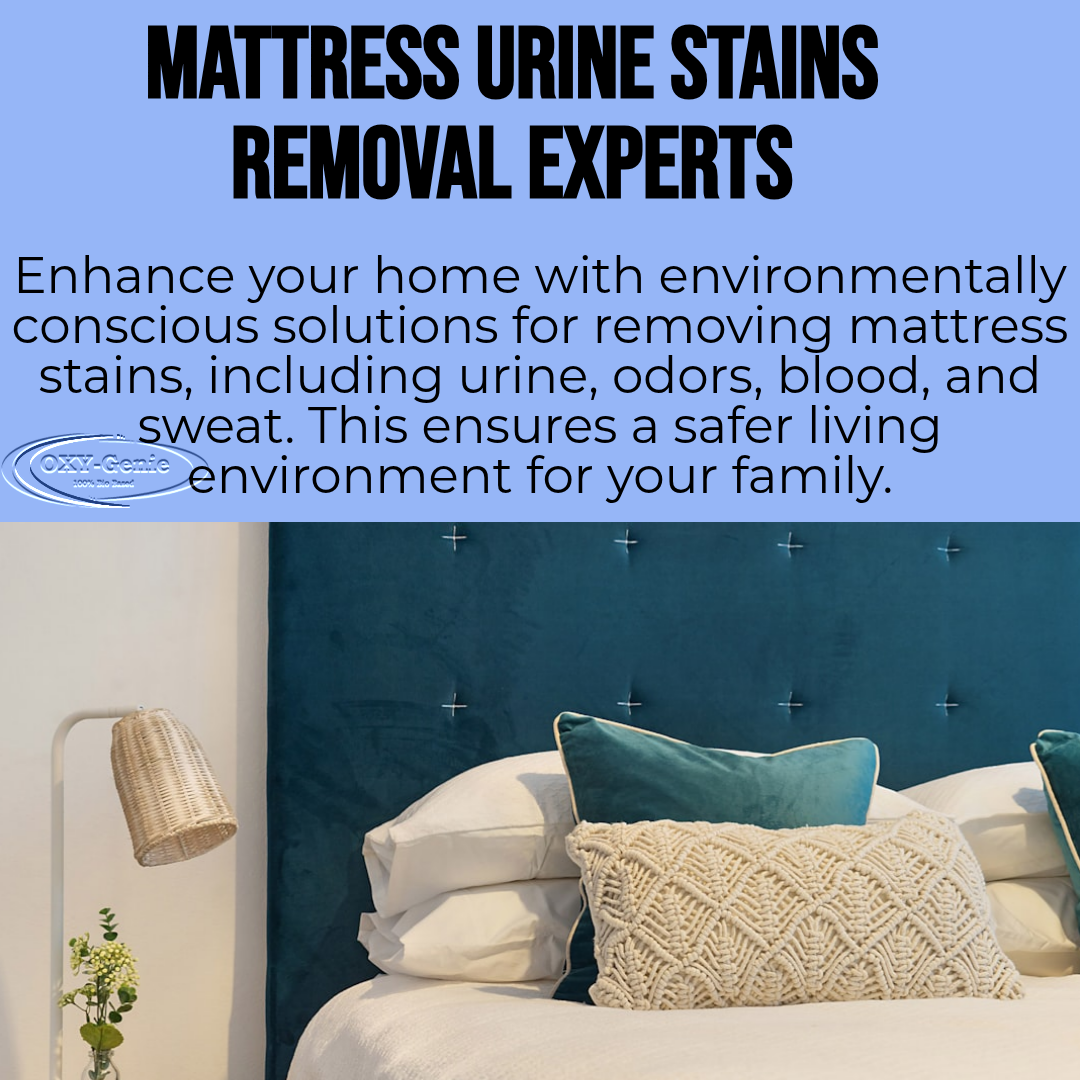 Mattress Urine Stain Cleaning Calgary