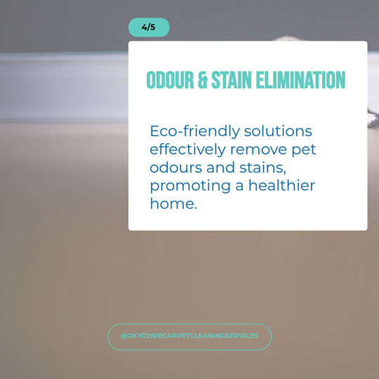 Odour Removal Services